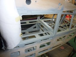 Canopy (31)